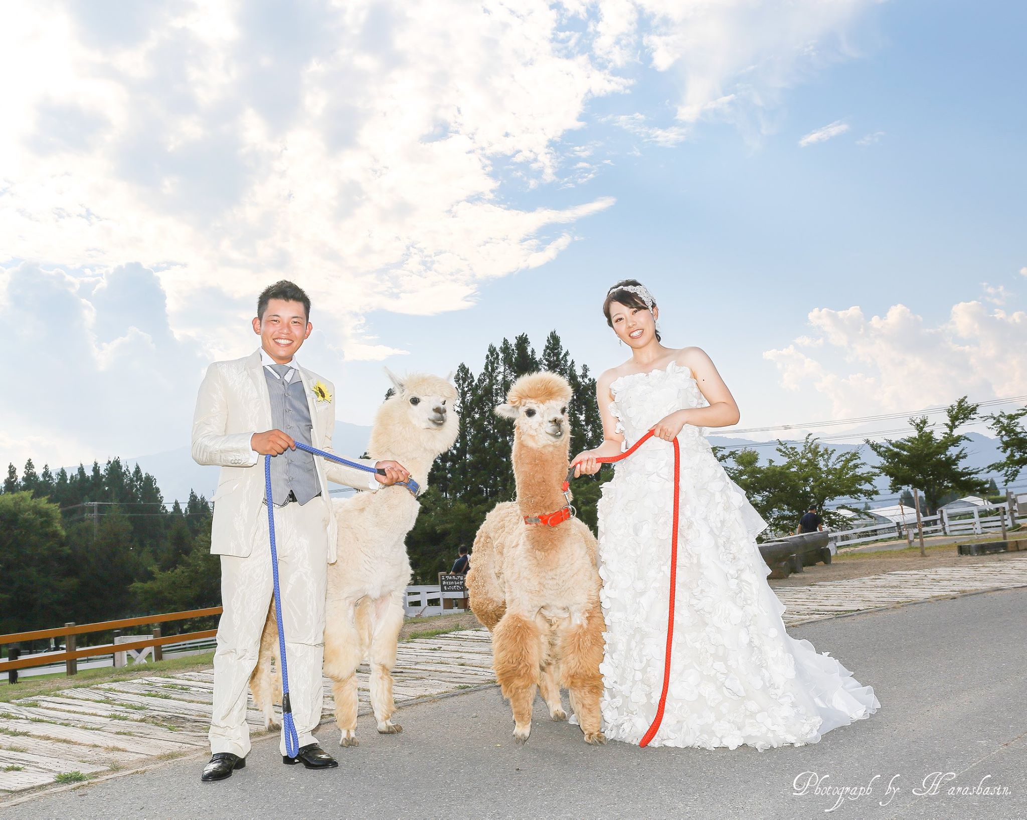 原写真　結婚式　写真