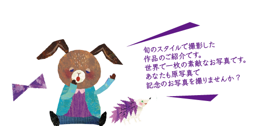 原写真　フォトギャラリー